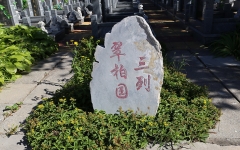 潮白陵园环境军柏园三列