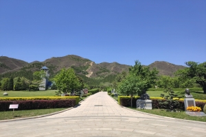 道路