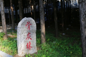 宝云岭墓园景观图片
