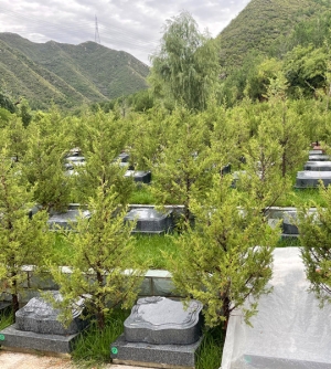 景仰园陵园价格全解析 影响因素与选购指南