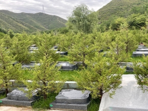 昌平景仰园陵园服务与联系指南