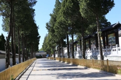 八宝山革命公墓环境图