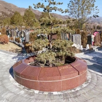 京华园树葬-16800