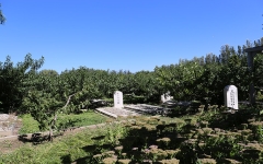 福田公墓环境图景观