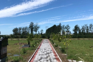 天福园公墓景观图片