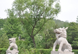 十三陵景仰园陵园环境实拍图片