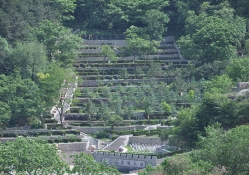 九公山陵园环境实拍