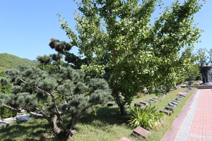 北京天寿墓地公墓介绍及选购指南