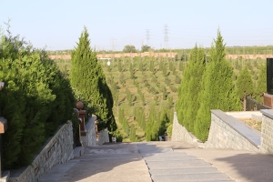 太子峪陵园景观图片