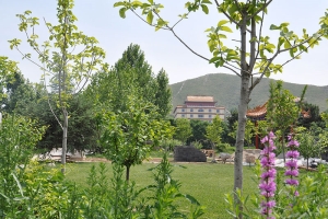 灵山宝塔陵园景观图片