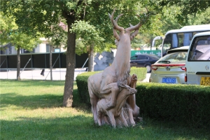 北京长青园公墓官网全面介绍与使用指南