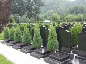 昌平凤凰山陵园环境与服务解析