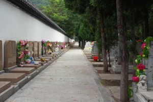 昌平凤凰山陵园景观图片