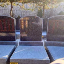 世尊园立碑28800