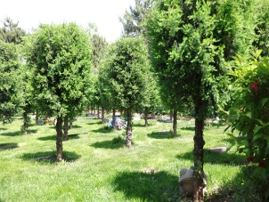 灵山宝塔陵园树葬价格详解：生态安葬的性价比之选