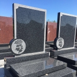 清修园菊花碑03