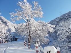 九公山陵园环境实拍