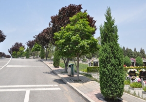 静安墓园联系电话021-54321098提供全方位殡葬服务咨询