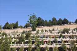 盘龙台公墓环境图