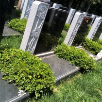 世尊园立碑998002