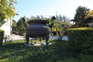 馆内绿化 (2)