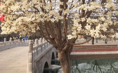 怀柔凤凰山陵园环境图5-200PFT125