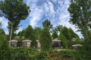 玉叶陵园景观图片