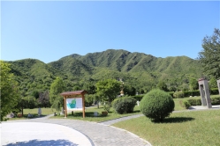 昌平凤凰山陵园环境图