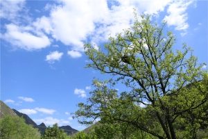 十三陵景仰园陵园景观图片