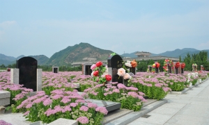 探秘清东陵万佛园公墓：历史与文化的交融