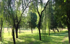 太子峪陵园环境图-502637041_1183254258_-1742204332