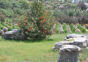 房山静安公墓价格解析及购买指南