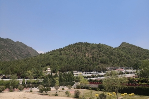 德陵公墓景观图片