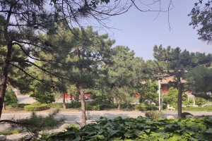 万佛华侨陵园景观图片