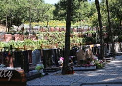 八达岭陵园环境图