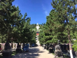 点击查看源图 灵山宝塔陵园图片环境实拍图
