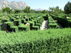 长安园公墓地：自然与人文交融的安息之地