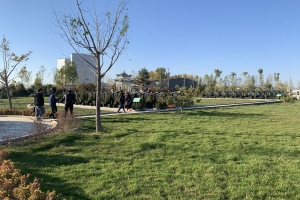 卧龙公墓景观图片