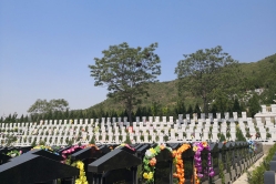 盘龙台公墓环境图