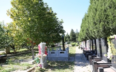 福田公墓环境图墓区一角