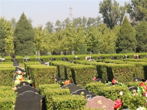 北京长青园公墓：朝阳区优质墓园选择指南