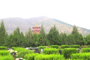 皇家龙山陵园景观图片