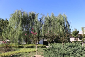 园内实景