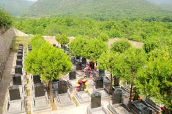点击查看源图 归山陵园环境实拍