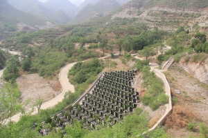 珍珠源公墓景观图片