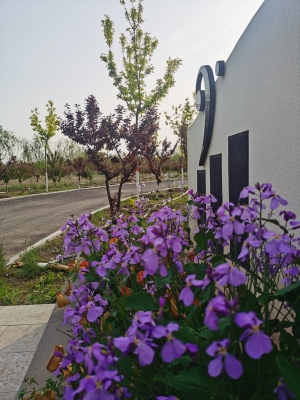 清颐园公墓是永久的吗