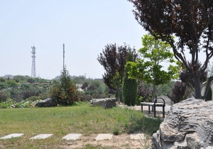 静安墓地价格解析与选购指南