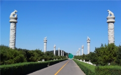 极乐园公墓环境实拍0de066d723abd4a