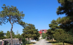 朝阳陵园环境图-1726937063_-1664141770_965094648