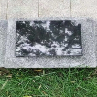 卧碑29800